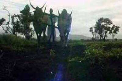 Rice debt costs man 27 yrs slavery