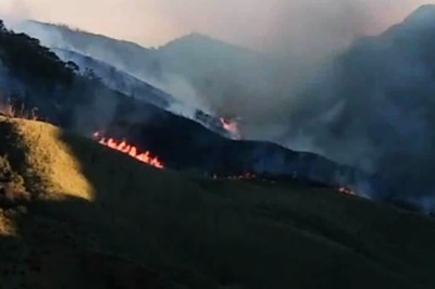 Wildfire in Nagaland's Dzukou, That Had Spread to Manipur, Under Control on Fifth Day: Officials