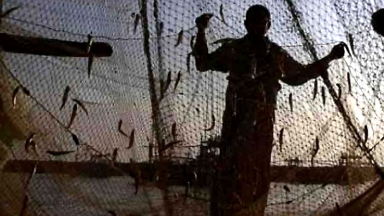 85 Indian Fishermen Jailed in Pakistan