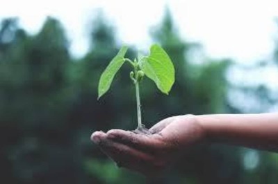 Indian Railways Officer Designs Eco-friendly Wedding Cards that Have Seeds to be Sown