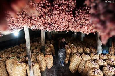 December WPI inflation eases to 7.18 per cent