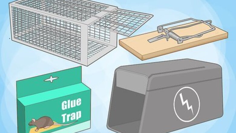 How to Get Rid of Rats Without Harming the Environment