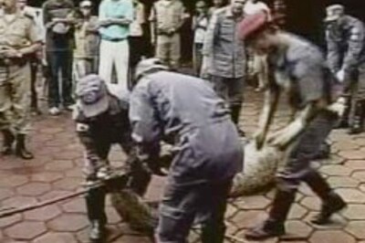 Anaconda's eating binge spells trouble