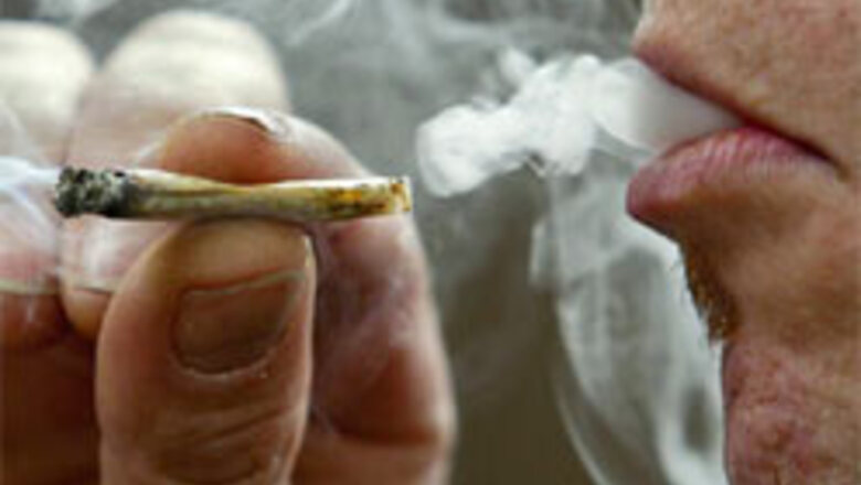 Canada profs win right to smoke pot