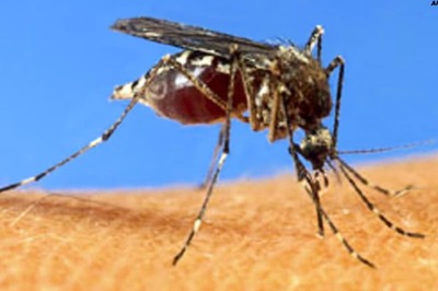 332 Fresh Cases of Dengue Reported in Karachi, 7,670 People Tested Positive This Year