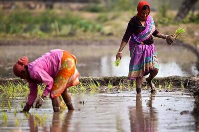 Losing Jobs, Health: Why Indian Women are More Vulnerable to Climate Change Than Men