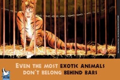 Supreme Court notices to Indian zoos