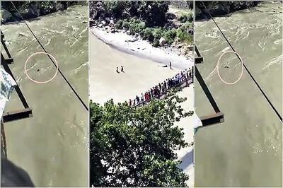 Himachal Pradesh: Covid Positive Youth Jumps Into Sutlej River In Shimla