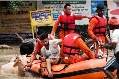 Delhi-Noida Floods: NDRF Rescues Cows, Dogs and a Bull Worth Rs 1 Crore
