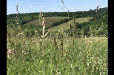 How to Save Live Photos As a Video