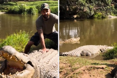 ‘Straight-Up Dinosaur’: Internet Reacts To Video Of Man’s Close Encounter With World’s Oldest Crocodile