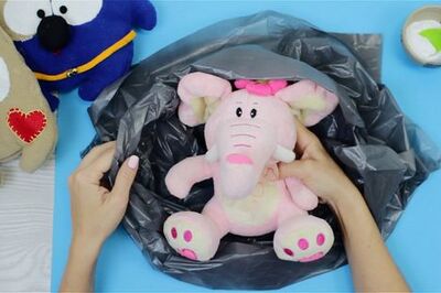 How to Handwash a Stuffed Animal