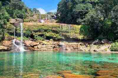 Meghalaya Receives Most Promising New Destination Title at TTF Hyderabad 2022