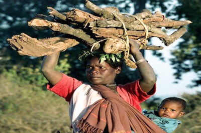Jharkhand Tribals Send Administration Into Tizzy With Creation of ‘Independent’ Area Near Ranchi
