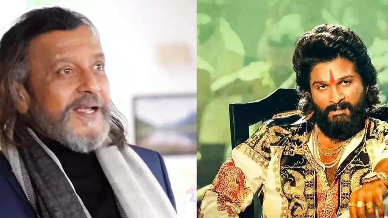 After Karan Johar, Akshay Kumar, now Mithun Chakraborty Showers Praise on Allu Arjun