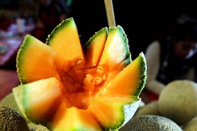 A Deadly Salmonella Outbreak in US and Canada Have Led to Over 10 Deaths. Here's All You Need to Know