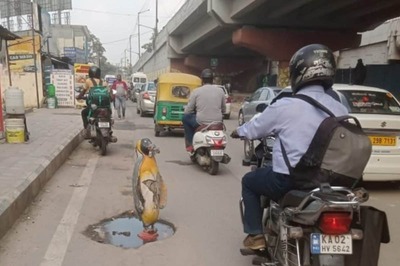 Southern Slice | In India's Silicon Valley, Penguin in Pothole a Reminder of Flightless Plans to Plug 'Death Trap'