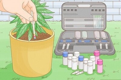 How to Apply Liquid Fertilizer