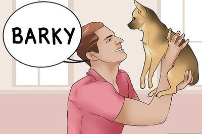 How to Encourage Your New Dog to Listen to You