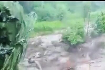 Dramatic Clip Shows 2 Washed Away in J&K's Chenab River; Rain Havoc Amid IMD's 'Monsoon' Alert in Parts of India