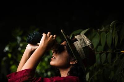 Discover India's Top Resorts for an Exotic Bird-Watching Retreat