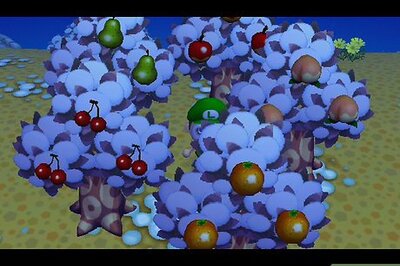 How to Make Bells in Animal Crossing: Wild World Without Cheating