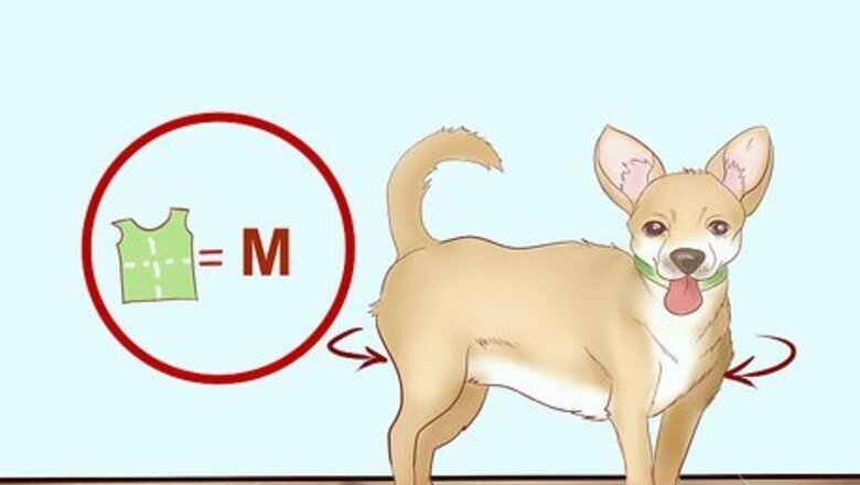 How to Find a Dog Halloween Costume Online