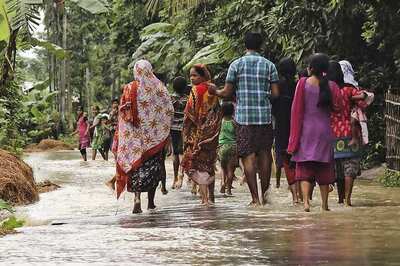 Animal Behaviour Guides Assam Villagers Out of Flood Danger