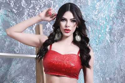 Happy Birthday Sherlyn Chopra: Top 5 Movies of the Bold Actress