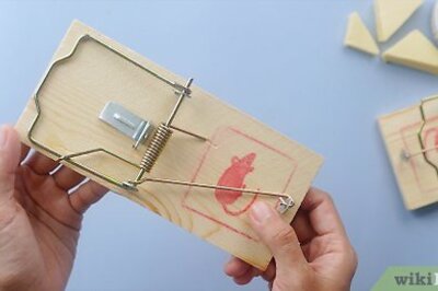 How to Set a Mousetrap