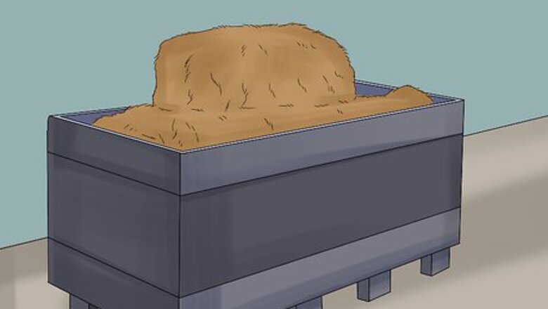 How to Give Your Horse the Right Supplements