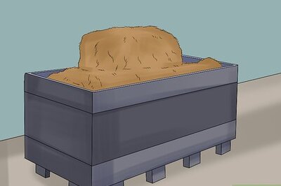 How to Give Your Horse the Right Supplements