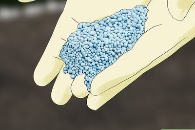 How to Increase Nitrogen in Soil