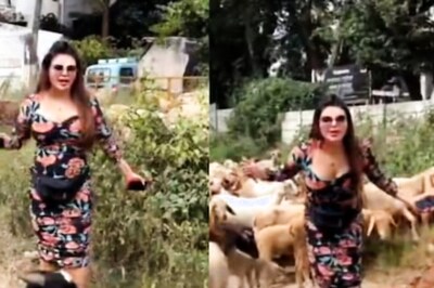 Watch: Rakhi Sawant, With a Stick in Hand, Herds a Flock of Sheep in Mysore