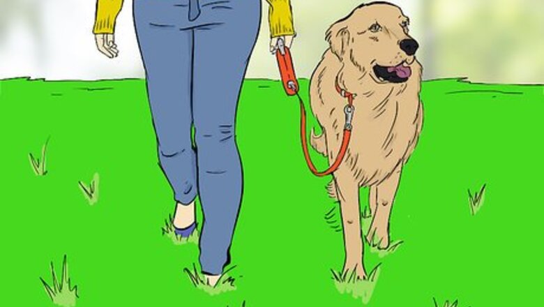 How to Throw a Dog Party