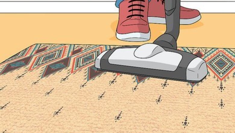 How to Get Dog Smell Out of the Carpet