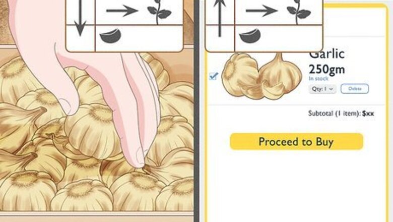 How to Plant Garlic