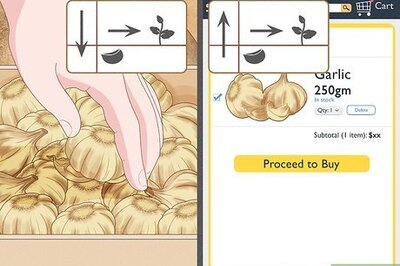 How to Plant Garlic