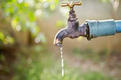 Water Levels in Yamuna at Lowest Point in 56 Years: Delhi Jal Board VC Raghav Chadha