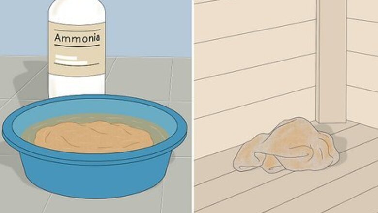 How to Get Rid of Squirrels in the Attic & Prevent Re-Entry