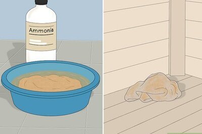 How to Get Rid of Squirrels in the Attic & Prevent Re-Entry