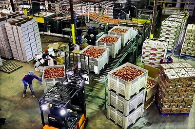 US producer prices up 0.6% in July, biggest jump since 2018