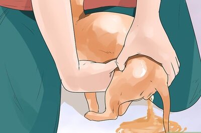 How to Help a Female Dog Who Is Injured Urinate