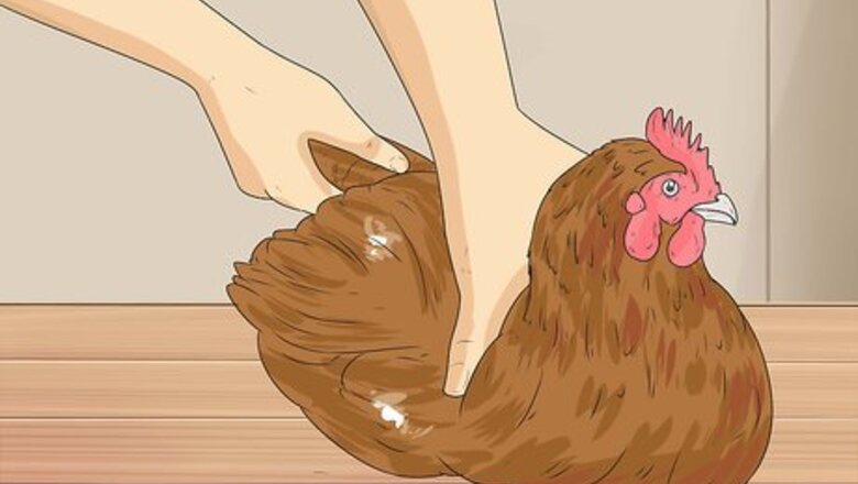 How to Hypnotize a Chicken
