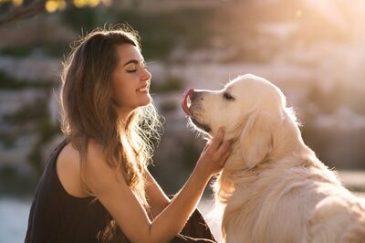 Pet-Friendly Cleaning Tips For Your Home