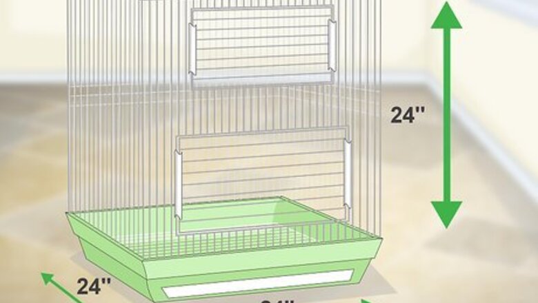 How to Set Up a Caique Parrot Habitat