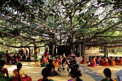 Kalakshetra Closes College Till April 6 as Students Protest Against Alleged Sexual Harassment