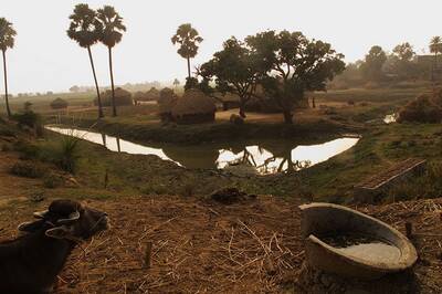 UP: Six married women return to parents due to lack of toilet at in-laws' place