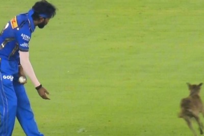 WATCH: GT vs MI Encounter Gets Halted as Dog Enters Field of Play at Narendra Modi Stadium