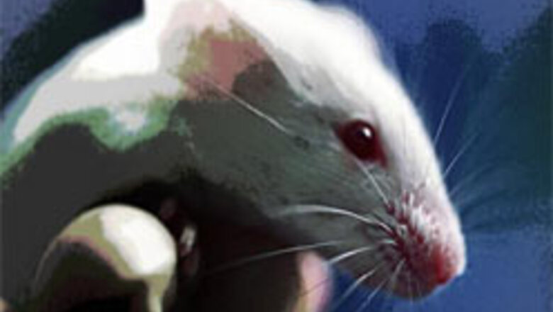 Scientists grow teeth from single cells